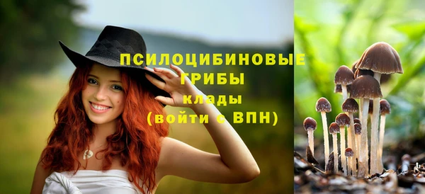 крисы Арсеньев