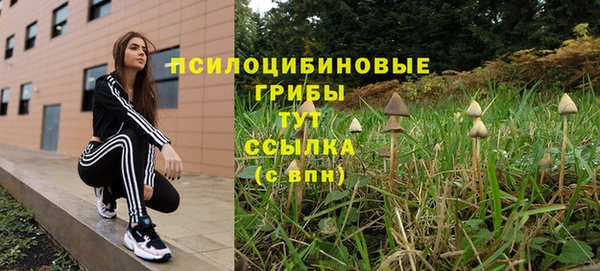 a pvp Армянск