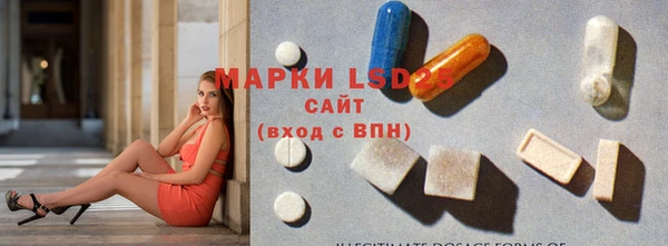 PSILOCYBIN Аркадак