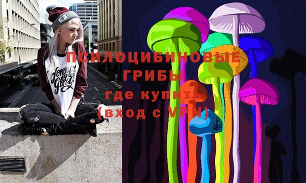 PSILOCYBIN Аркадак