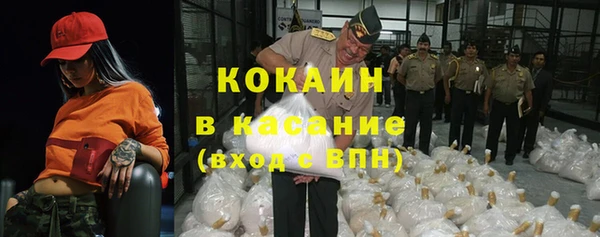 PSILOCYBIN Аркадак