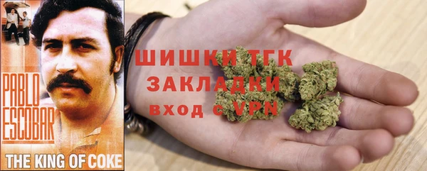 PSILOCYBIN Аркадак