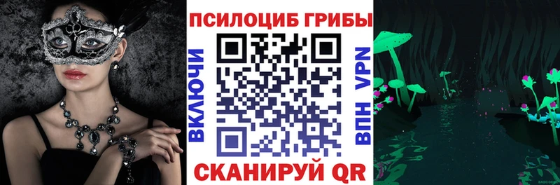 Псилоцибиновые грибы GOLDEN TEACHER  где купить   Бежецк 